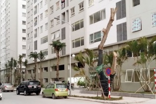 Nhà ở xanh nhưng giá phải rẻ: Bài toán khó lại thêm biến số