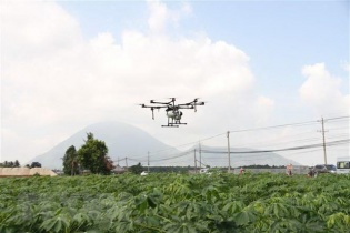 Một hợp tác xã nông nghiệp đầu tư mua máy bay không người lái phun thuốc bảo vệ thực vật