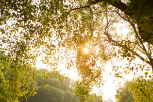 Dự báo thời tiết hôm nay 26/8: Ngày nắng, tối và đêm có mưa dông