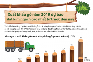 [Infographic] Xuất khẩu gỗ năm 2019 dự báo đạt kim ngạch cao nhất từ trước đến nay