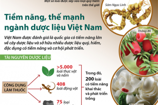 [Infographic] Tiềm năng, thế mạnh ngành dược liệu Việt Nam