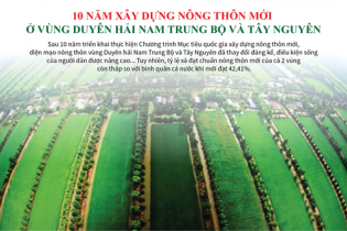 [Infographic] 10 năm xây dựng nông thôn mới ở vùng Duyên hải Nam Trung Bộ và Tây Nguyên