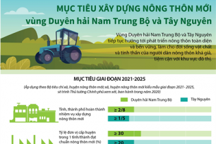 [Infographic] Mục tiêu xây dựng nông thôn mới vùng Duyên hải Nam Trung Bộ và Tây Nguyên