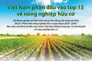 [Infographic] Việt Nam phấn đấu vào Top 15 thế giới về nông nghiệp hữu cơ