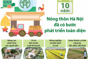 [Infographic] Nông thôn Hà Nội phát triển toàn diện