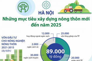 [Infographic] Mục tiêu xây dựng nông thôn mới đến năm 2025 của Hà Nội