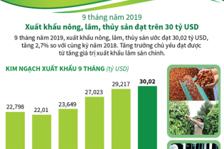 [Infographic] 9 tháng, xuất khẩu nông, lâm, thủy sản đạt trên 30 tỷ USD