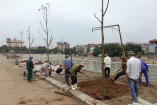 Được áp dụng chào hàng cạnh tranh cho gói thầu trồng cây xanh?