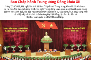[Infographic] Những nội dung quan trọng của Hội nghị lần thứ 11 Ban Chấp hành Trung ương Đảng khóa XII