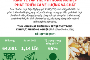 [Infographic] Kinh tế tập thể phi nông nghiệp phát triển cả về lượng và chất