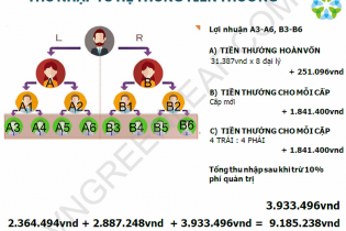 Bộ Công thương khuyến cáo "bẫy lừa" kinh doanh đa cấp qua Greenleafgroup.cn
