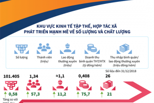 [Infographic] Khu vực kinh tế tập thể, hợp tác xã phát triển mạnh mẽ về số lượng và chất lượng