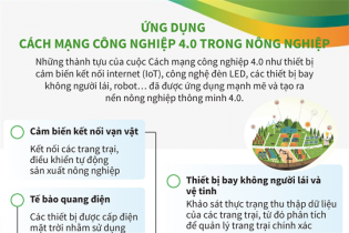 [Infographic] Ứng dụng Cách mạng công nghiệp 4.0 trong nông nghiệp