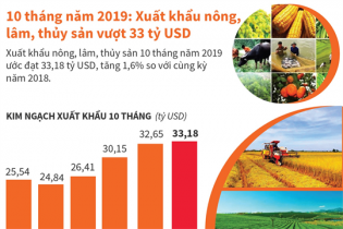 [Infographic] 10 tháng, xuất khẩu nông, lâm, thủy sản vượt 33 tỷ USD