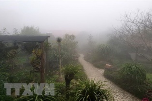 Dự báo thời tiết hôm nay 21/11: Miền Bắc lạnh nhất dưới 16 độ C, miền Nam nóng nhất trên 33 độ C