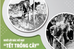 [Infographic] Nhớ lời Bác Hồ dạy “Tết trồng cây”