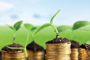 Đầu tư chứng khoán: Gieo những hạt giống tốt