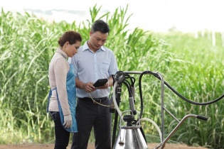 Cô Gái Hà Lan hỗ trợ nông dân Việt Nam hiện đại hóa quy trình nuôi bò sữa 