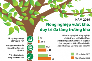 [Infographic] Năm 2019, ngành nông nghiệp duy trì đà tăng trưởng khá