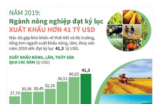 [Infographic] Năm 2019, ngành nông nghiệp đạt kỷ lục xuất khẩu hơn 41 tỷ USD