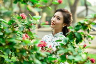 ​Chuyện cái hàng rào!