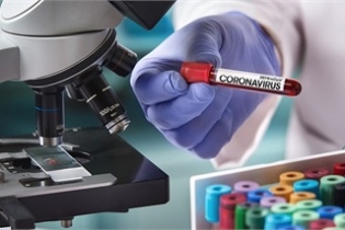 Hơn 50 nghiên cứu về chủng virus corona mới - nCoV ra đời chỉ trong vài tuần 