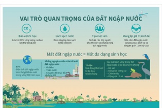 [Infographic] Ngày Đất ngập nước Thế giới 2/2: Vai trò quan trọng của đất ngập nước
