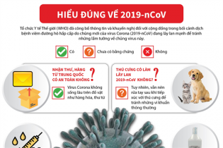 [Infographic] Hiểu đúng về chủng virus Corona mới (2019-nCoV)