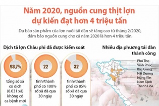[Infographic] Năm 2020, nguồn cung thịt lợn dự kiến đạt hơn 4 triệu tấn