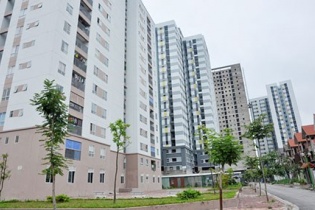 Lựa chọn chủ đầu tư dự án nhà ở xã hội qua đấu thầu