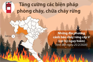 [Infographic] Tăng cường các biện pháp phòng cháy, chữa cháy rừng