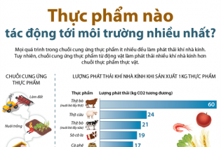 [Infographic] Thực phẩm nào tác động tới môi trường nhiều nhất?