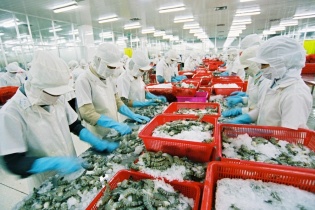 Doanh nghiệp thủy sản tăng xuất khẩu hàng đông lạnh