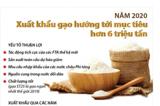 [Infographic] Năm 2020 xuất khẩu gạo hướng tới mục tiêu hơn 6 triệu tấn
