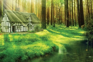 Bán đất giữa... rừng!