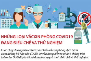 [Infographic] Những loại vắcxin phòng COVID19 đang điều chế và thử nghiệm