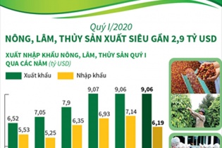 [Infographic] Quý I/2020, nông, lâm, thủy sản xuất siêu gần 2,9 tỷ USD