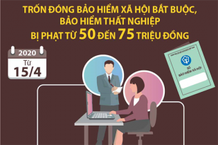 [Infographic] Doanh nghiệp trốn đóng bảo hiểm xã hội, bảo hiểm thất nghiệp bị phạt từ 50 đến 75 triệu đồng