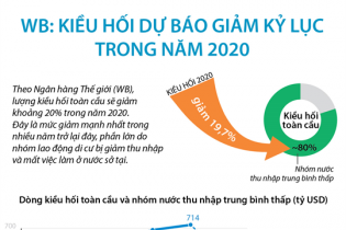 [Infographic] WB: Kiều hối dự báo giảm kỷ lục trong năm 2020