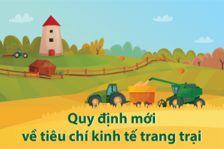 [Infographic] Quy định mới về tiêu chí kinh tế trang trại