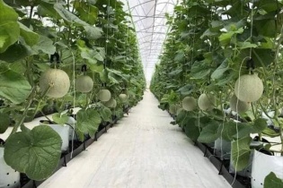 Hà Nội kêu gọi đầu tư trực tiếp vào 11 dự án nông nghiệp, nông thôn quy mô lớn
