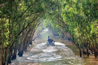 Bỏ phố về rừng!