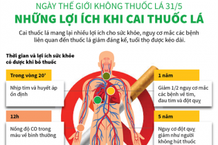 [Infographic] Ngày thế giới không thuốc lá 31/5: Những lợi ích khi cai thuốc lá