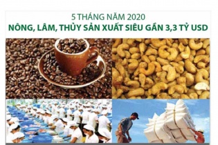 [Infographic] 5 tháng năm 2020, nông, lâm, thủy sản xuất siêu gần 3,3 tỷ USD