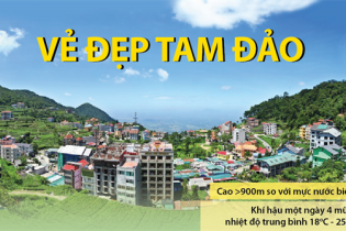 [Infographic] Vẻ đẹp Tam Đảo