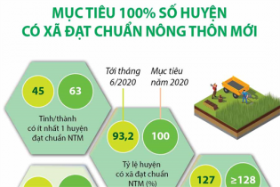 [Infographic] Mục tiêu 100% số huyện có xã đạt chuẩn nông thôn mới