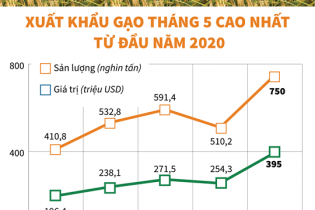 [Infographic] Xuất khẩu gạo tháng 5 cao nhất từ đầu năm 2020