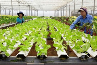 Phê duyệt Đề án phát triển nông nghiệp hữu cơ giai đoạn 2020 - 2030