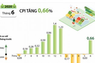[Infographic] CPI tháng 6/2020 tăng 0,66%