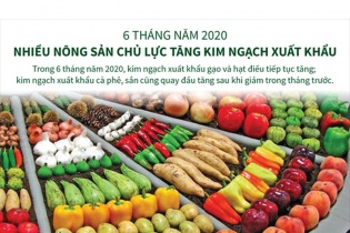 [Infographic] 6 tháng năm 2020, nhiều nông sản chủ lực tăng kim ngạch xuất khẩu